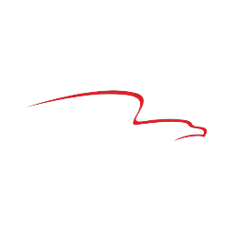 Logo de AFG