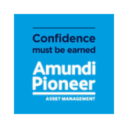 Logo de AMUN.PA