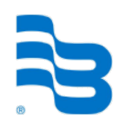 Logo de BMI