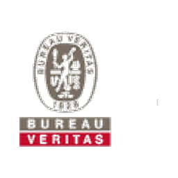Logo de BVI.PA