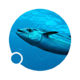Logo de CLV.AX