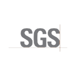 Logo de SGSN.SW