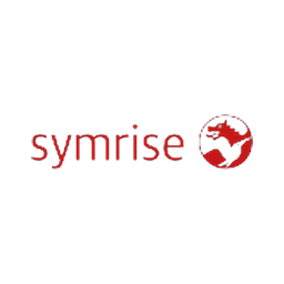 Logo de SY1.DE